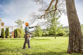 Best Storm Damage Tree Cleanup  in West Modesto, CA